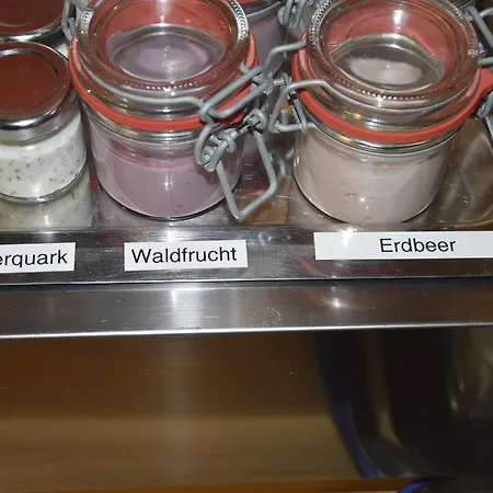 Hotel Schaeffler 2*